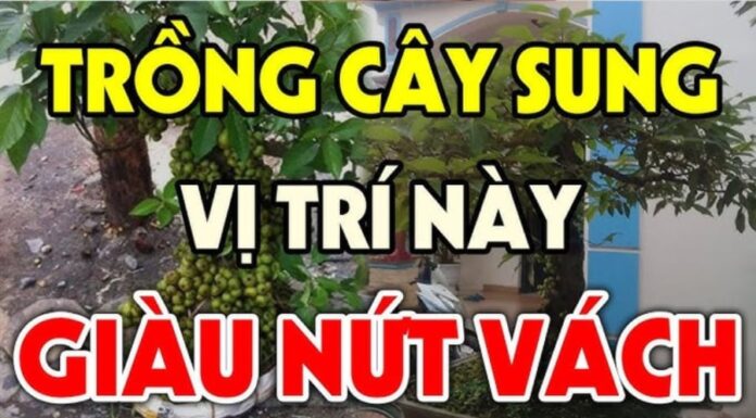 The Ancient Secret to Wealth and Prosperity: Unlocking the Power of Nature