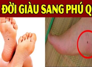 The Ultimate Guide to Success: The 5 Moles Worth More Than Gold