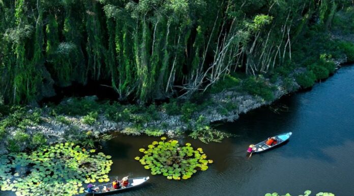 Unveiling the 7 Most Cherished Duc Hoa (Long An) Tourist Attractions