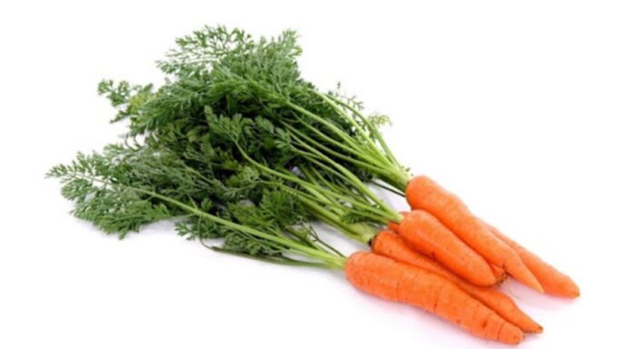 “The Vegetable ‘Calcium Pill’: Nature’s Superfood with 3 Times More Calcium Than Milk and 7 Times More Than Eggs”