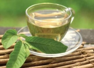The Ultimate Guide to Nature’s Power: 3 Leaves to Brew for a Healthy Beverage – Lower Cholesterol and Manage Diabetes.
