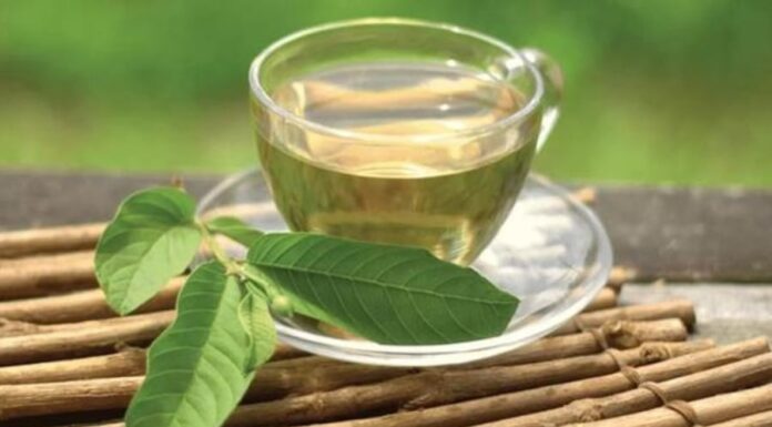 The Ultimate Guide to Nature’s Power: 3 Leaves to Brew for a Healthy Beverage – Lower Cholesterol and Manage Diabetes.