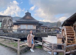 The Ultimate Guide to Crispy Fried Corn: A Crunchy Delight