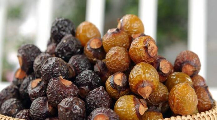 The Magic of Soapberry Dish Soap: Cutting through Grease and Ensuring a Healthy Clean