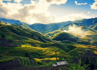 The Tasty Treasures of Lao Cai: 15 Delights to Savour and Gift.