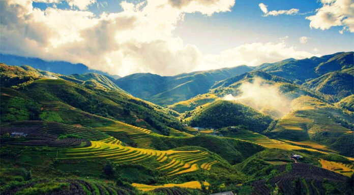 The Tasty Treasures of Lao Cai: 15 Delights to Savour and Gift.