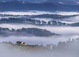 What is Winter Solstice? When Does Winter Solstice 2022 Begin?