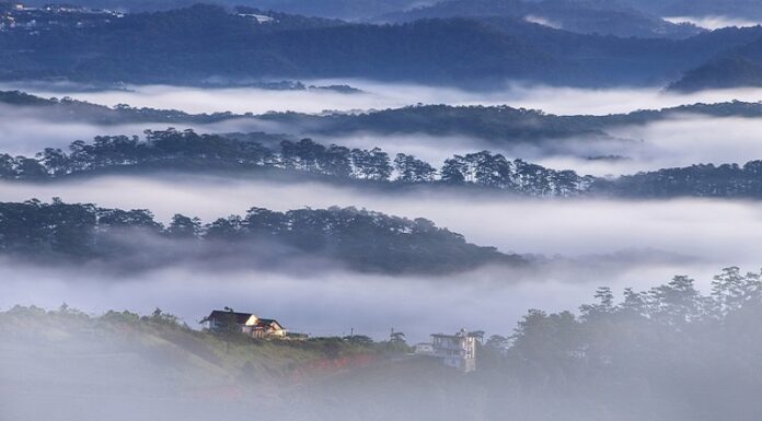 What is Winter Solstice? When Does Winter Solstice 2022 Begin?