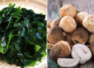 6 Vegetables Packed With Protein: A Tasty Alternative to Meat and Eggs