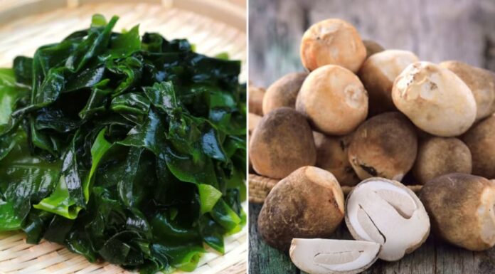 6 Vegetables Packed With Protein: A Tasty Alternative to Meat and Eggs