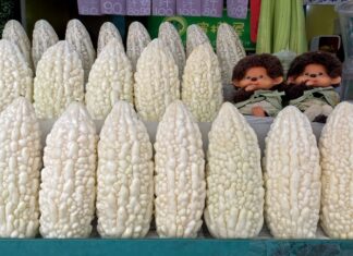 The Benefits of Japanese Bitter Melon