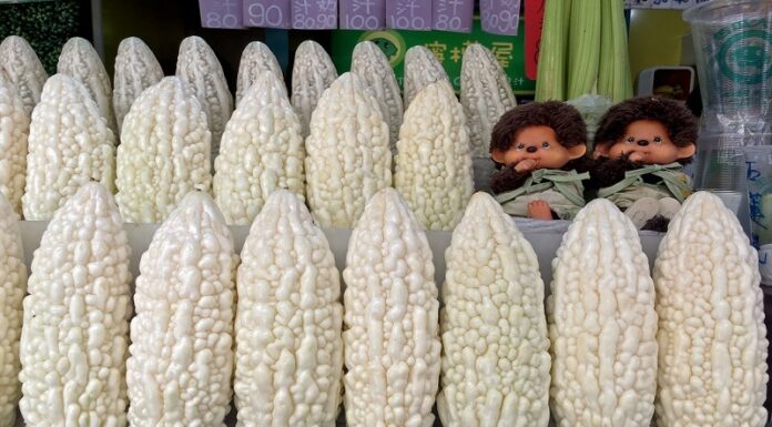 The Benefits of Japanese Bitter Melon