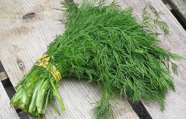 “The Unassuming Garden Vegetable That’s a ‘Treasure’ for Healthy, Long Life”