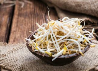 The Benefits and Easy Steps to Make Bean Sprouts at Home