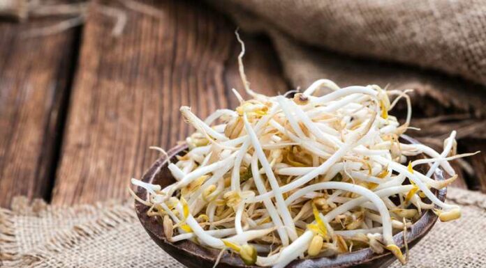 The Benefits and Easy Steps to Make Bean Sprouts at Home