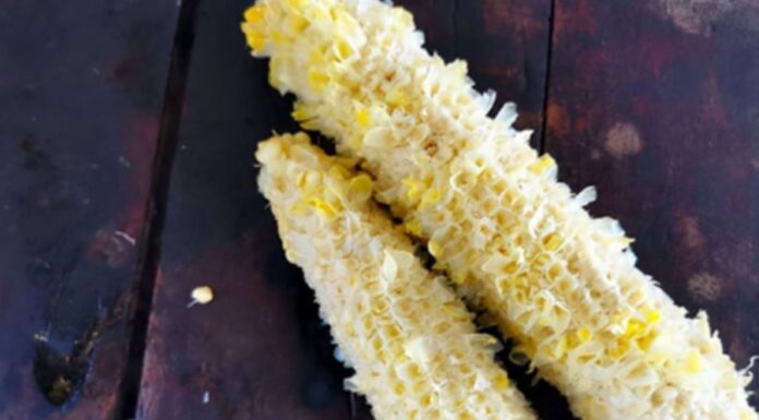 The Ultimate Guide to Corn Cob Treasures: Unveiling the Unexpected Uses