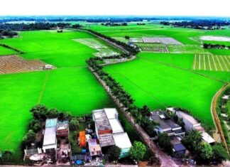 The Ultimate Guide to Long An’s Charm: 5 Must-Visit Destinations in Tan Tru