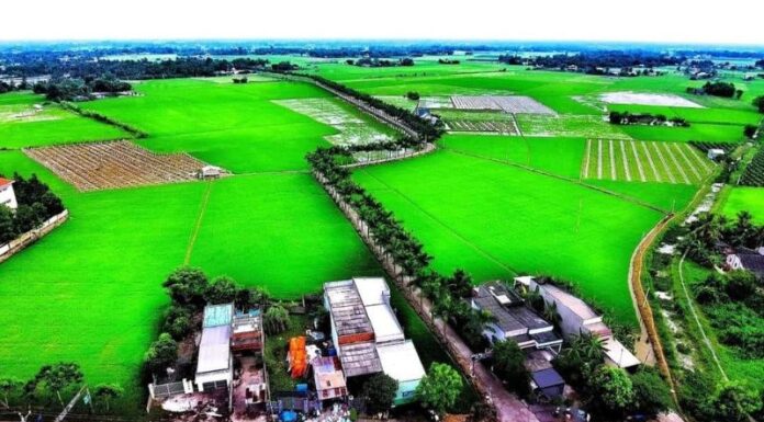 The Ultimate Guide to Long An’s Charm: 5 Must-Visit Destinations in Tan Tru