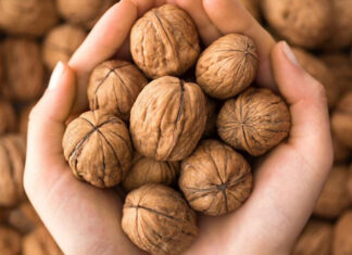 The Ultimate Guide to Choosing and Shelling Fresh Walnuts Effortlessly