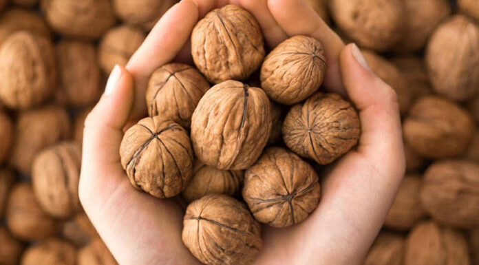 The Ultimate Guide to Choosing and Shelling Fresh Walnuts Effortlessly