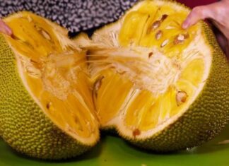 The Ultimate Guide to Storing Ripe Jackfruit: Enjoy Its Delicious Taste for Weeks