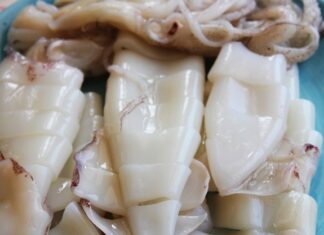 The Ultimate Guide to Preparing Fresh and Tasty Squid: A Culinary Adventure