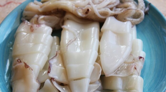 The Ultimate Guide to Preparing Fresh and Tasty Squid: A Culinary Adventure