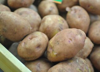 The Secret to Crispy, Golden Fries: Restaurant-Style!