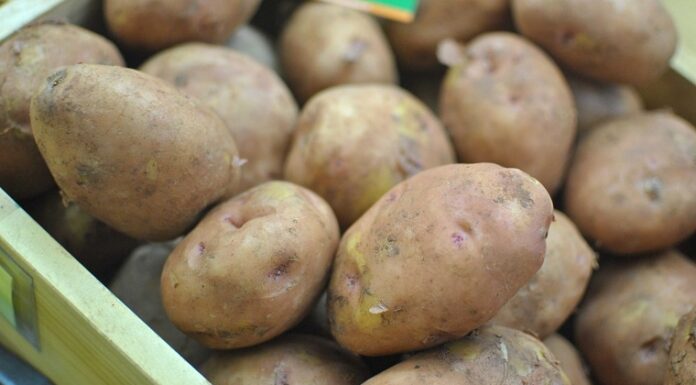 The Secret to Crispy, Golden Fries: Restaurant-Style!