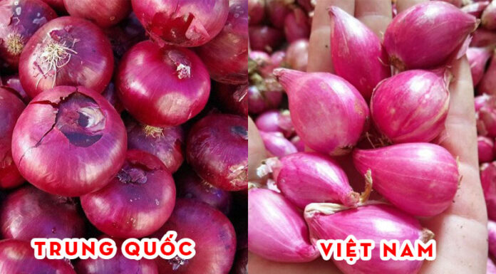 The Ultimate Guide to Identifying Chinese Onions, Garlic, and Ginger