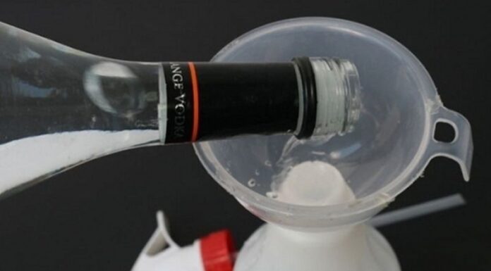 The Ultimate Guide to Drying Fish: Keep Flies Away and Enhance the Flavor