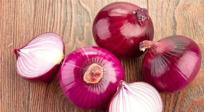 The Ultimate Guide to Using Different Types of Onions in Your Cooking