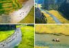 The Ultimate Guide to Ninh Binh: A Season of Beauty Unveiled
