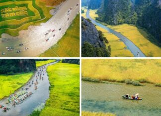 The Ultimate Guide to Ninh Binh: A Season of Beauty Unveiled