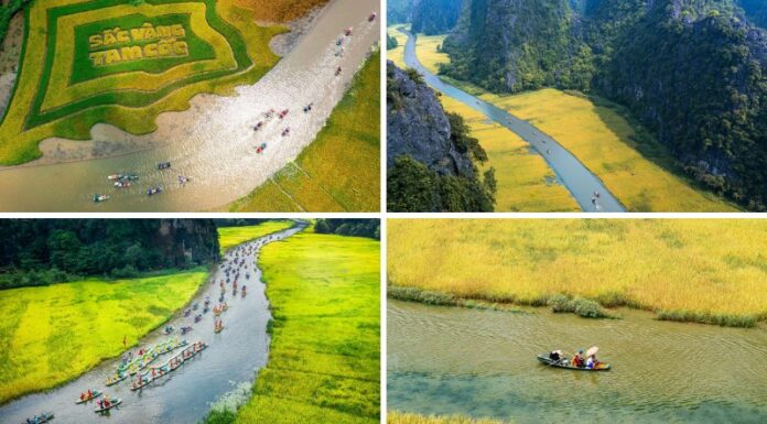 The Ultimate Guide to Ninh Binh: A Season of Beauty Unveiled