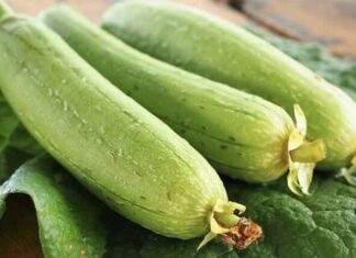 Should You Choose Luffa With or Without Ribs When Shopping?