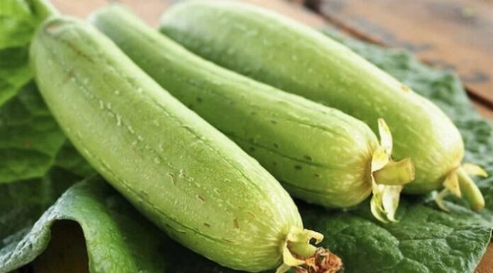 Should You Choose Luffa With or Without Ribs When Shopping?