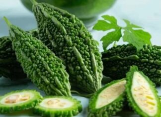 The Bitter Truth About Bitter Melon: Unveiling the Secret Behind its Pungent Flavor.