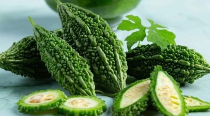 The Bitter Truth About Bitter Melon: Unveiling the Secret Behind its Pungent Flavor.