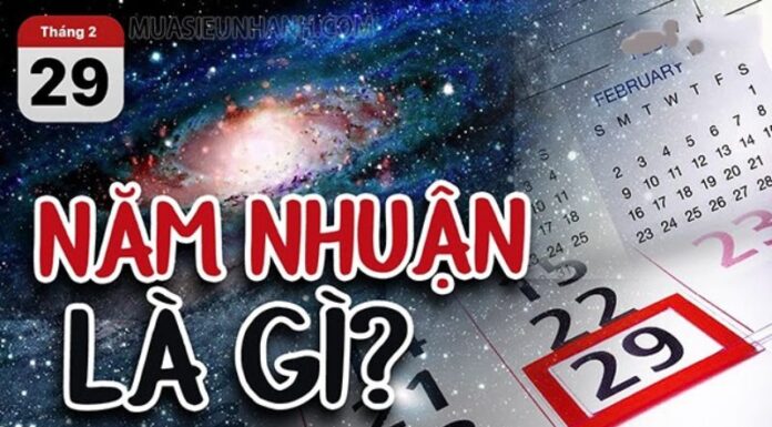 Is 2023 a Leap Year? Which Month is the Leap Month in 2023?