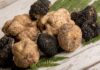 What Are Truffles? Benefits, Where to Buy, and Price