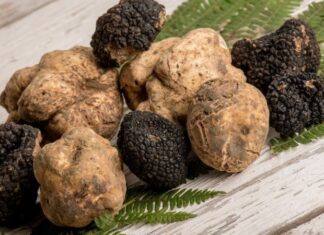 What Are Truffles? Benefits, Where to Buy, and Price