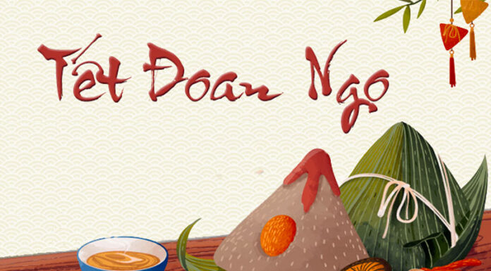 What is Pest-Repellent Day and What Do We Do on This Day?