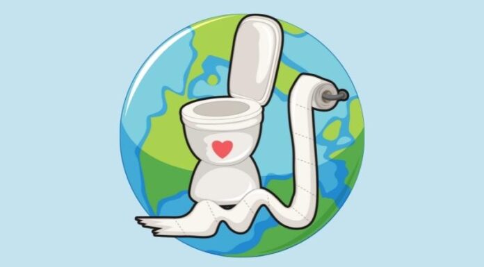 What is World Toilet Day? History and Significance