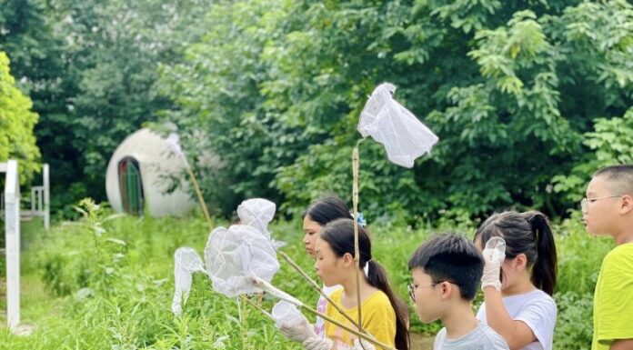 The Top 5 Fun and Educational Places to Take Your Kids in Hanoi This Holiday