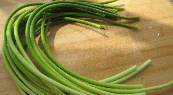 “Keep Your Garlic Stems Looking Fresh and Tasty: The Secret Ingredient”