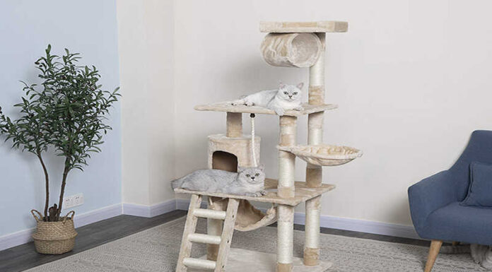What is a Cat Tree House? Benefits, and How to Make a Simple One