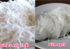 Simple Ways to Spot Fresh Rice Noodles