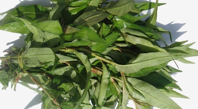 What Vegetables Should Pregnant Women Avoid?