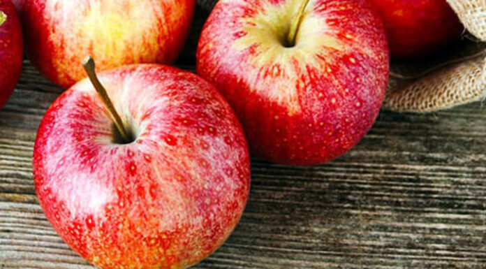 “Fruits with Low Sugar Content to Support Your Weight Loss Journey”